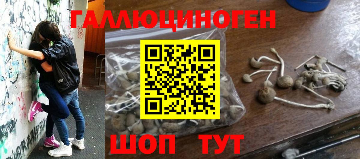 Псилоцибиновые грибы ЛСД Белебей