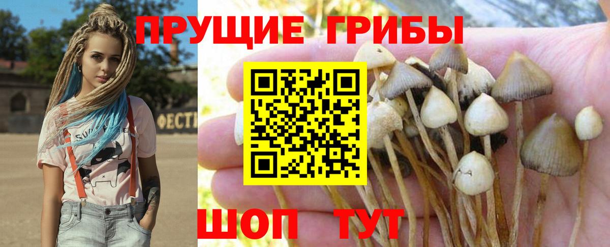 Псилоцибиновые грибы мицелий  Вход с VPN  Белебей 
